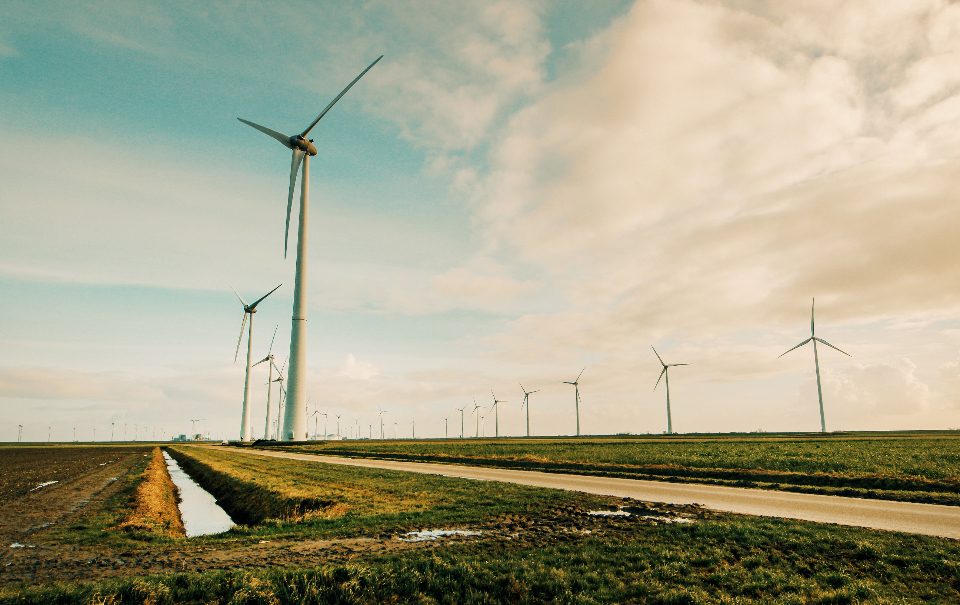 Groene stroom zonder groene prijs: waar je op moet letten
